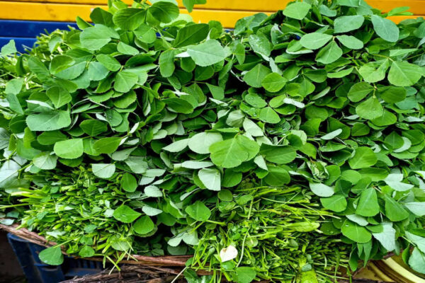 Eating fenugreek leaves in the morning gives the body these benefits